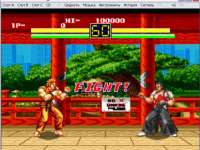 Art Of Fighting