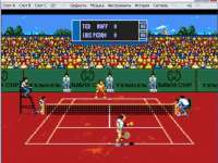 Davis Cup Tennis