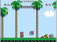 Adventure Island 3