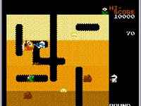 Dig Dug