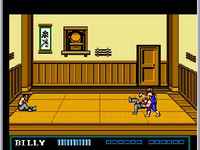 Double Dragon 3