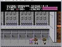 Ninja Gaiden