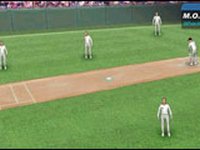 Just Not a Cricket