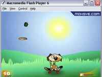 Frisbee dog