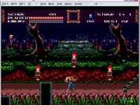 Castlevania: The New Generation