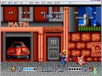 Double Dragon