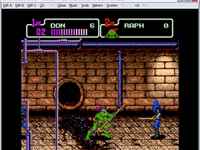 Teenage Mutant Ninja Turtles: The Hyperstone Heist