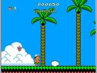 Adventure Island 2